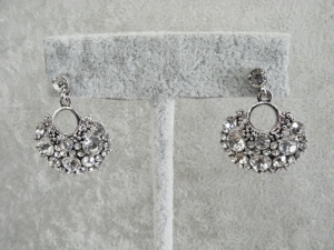 Earrings ER15-7999
